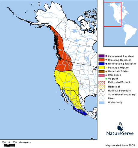 Data provided by NatureServe in collaboration with Robert Ridgely, James Zook, The Nature Conservancy - Migratory Bird Program, Conservation International - CABS, World Wildlife Fund - US, and Environment Canada - WILDSPACE. http://www.natureserve.org/infonatura (Accessed: May 8, 2007 ).
