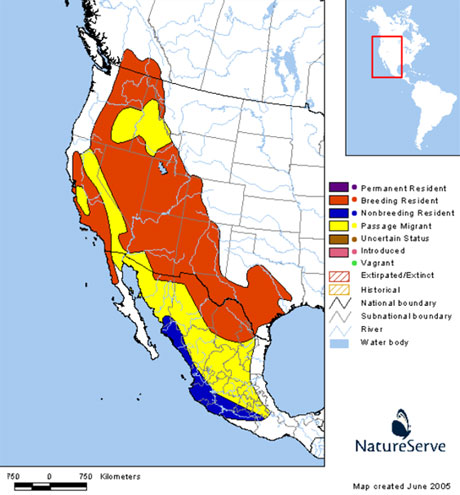 Les donnes proviennent de Natureserve en collaboration avec avec Robert Ridgely, James Zook, The Nature Conservancy - Migratory Bird Program, Conservation International - CABS, World Wildlife Fund - US, and Environment Canada - WILDSPACE. http://www.natureserve.org/infonatura (Accessed: May 8, 2007 ).