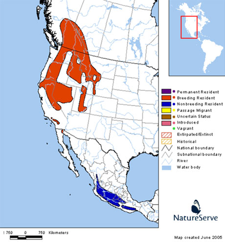 Les donnes proviennent de Natureserve en collaboration avec avec Robert Ridgely, James Zook, The Nature Conservancy - Migratory Bird Program, Conservation International - CABS, World Wildlife Fund - US, and Environment Canada - WILDSPACE. http://www.natureserve.org/infonatura (Accessed: May 8, 2007 ).