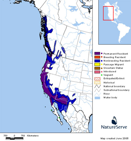 Data provided by NatureServe in collaboration with Robert Ridgely, James Zook, The Nature Conservancy - Migratory Bird Program, Conservation International - CABS, World Wildlife Fund - US, and Environment Canada - WILDSPACE. http://www.natureserve.org/infonatura (Accessed: May 8, 2007 ).