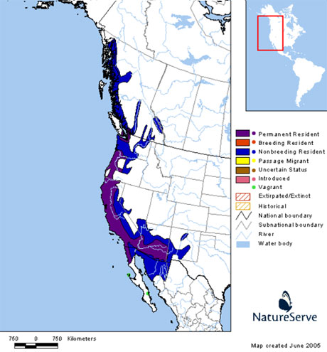 Les donnes proviennent de Natureserve en collaboration avec avec Robert Ridgely, James Zook, The Nature Conservancy - Migratory Bird Program, Conservation International - CABS, World Wildlife Fund - US, and Environment Canada - WILDSPACE. http://www.natureserve.org/infonatura (Accessed: May 8, 2007 ).