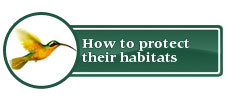 How to protect their habitats